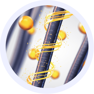Hair Cells